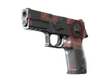 P250 | Конструктивизм