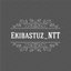 Ekibastuz_NTT
